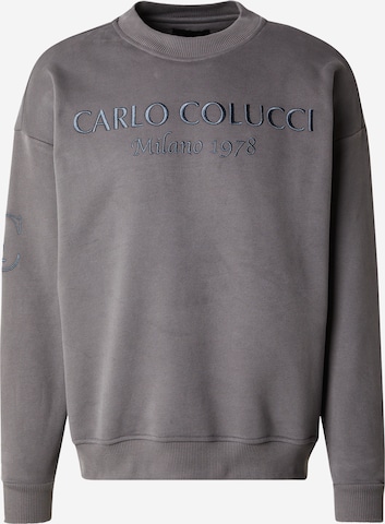 Carlo Colucci Collegepaita värissä harmaa: etupuoli