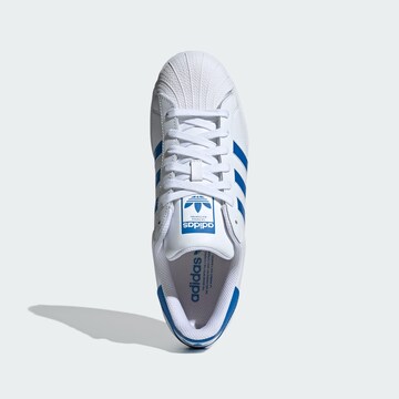 ADIDAS ORIGINALS Sneakers 'Superstar ' in White