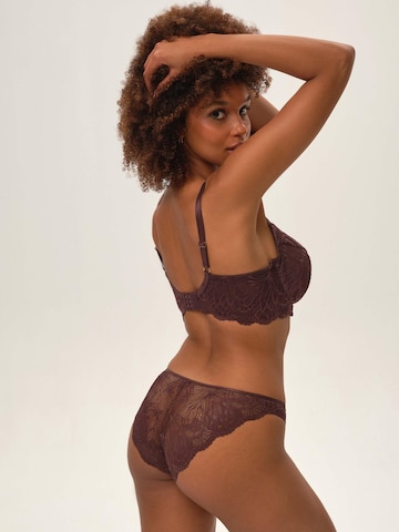 Panty 'Slip Olive, florale Spitze, goldfarbene Details, transparent S' di ESOTIQ in marrone