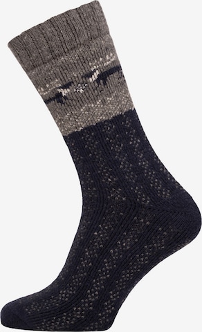 HomeOfSocks Socks 'HOS453' in Blue: front