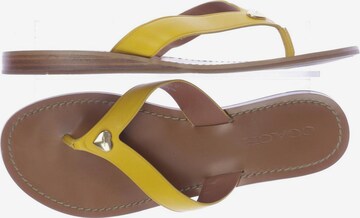 COACH Sandals & High-Heeled Sandals in 39 in Yellow: front