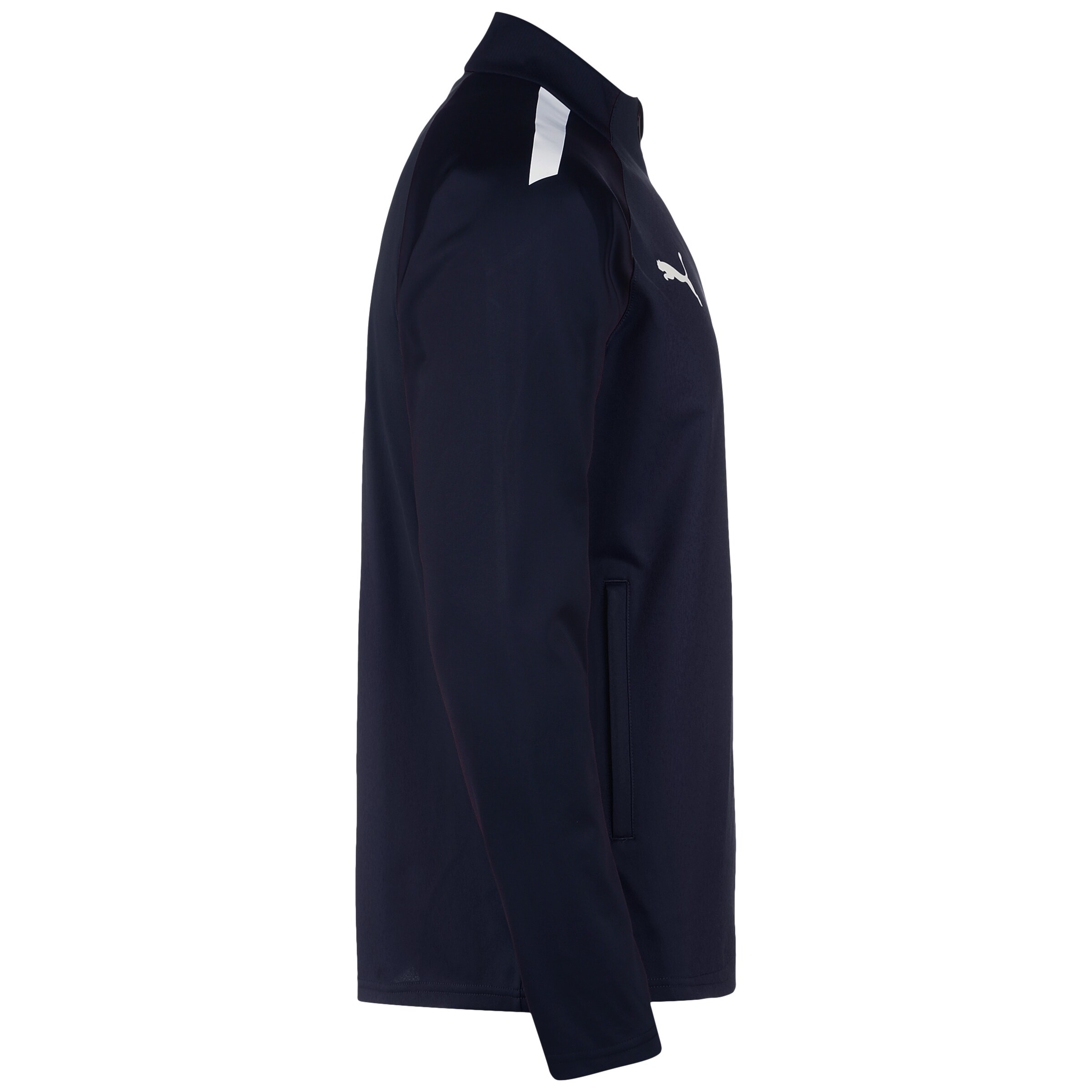 PUMA Sportjacke 'Team Liga' in Blau
