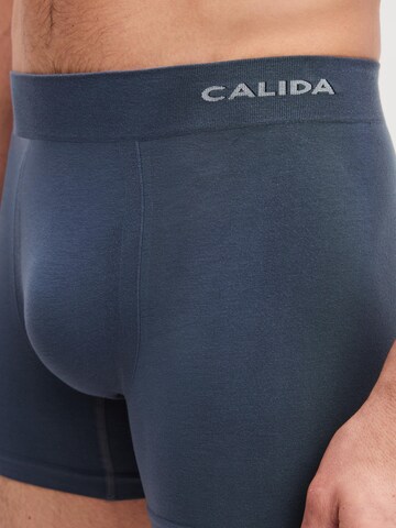 CALIDA Boxer shorts 'Seamless Natural' in Blue