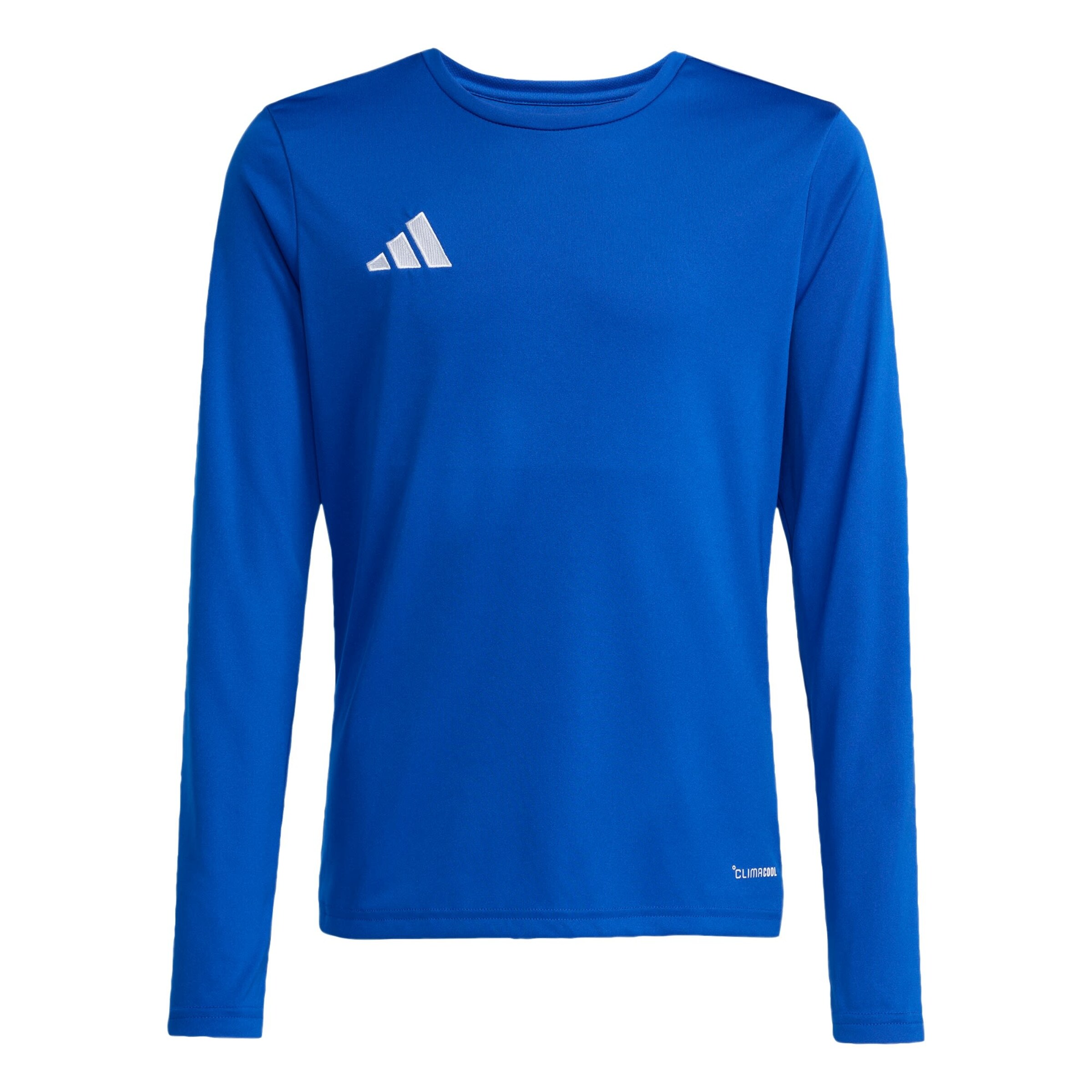 ADIDAS PERFORMANCE Performance Shirt 'Entrada26' in Blue: front