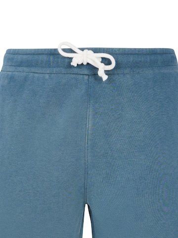 PROTEST Loosefit Hose 'PRTTedor' in Blau