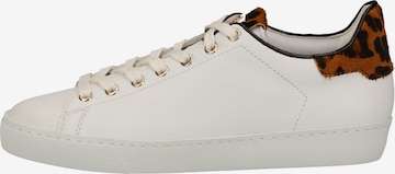 Högl Sneakers in White