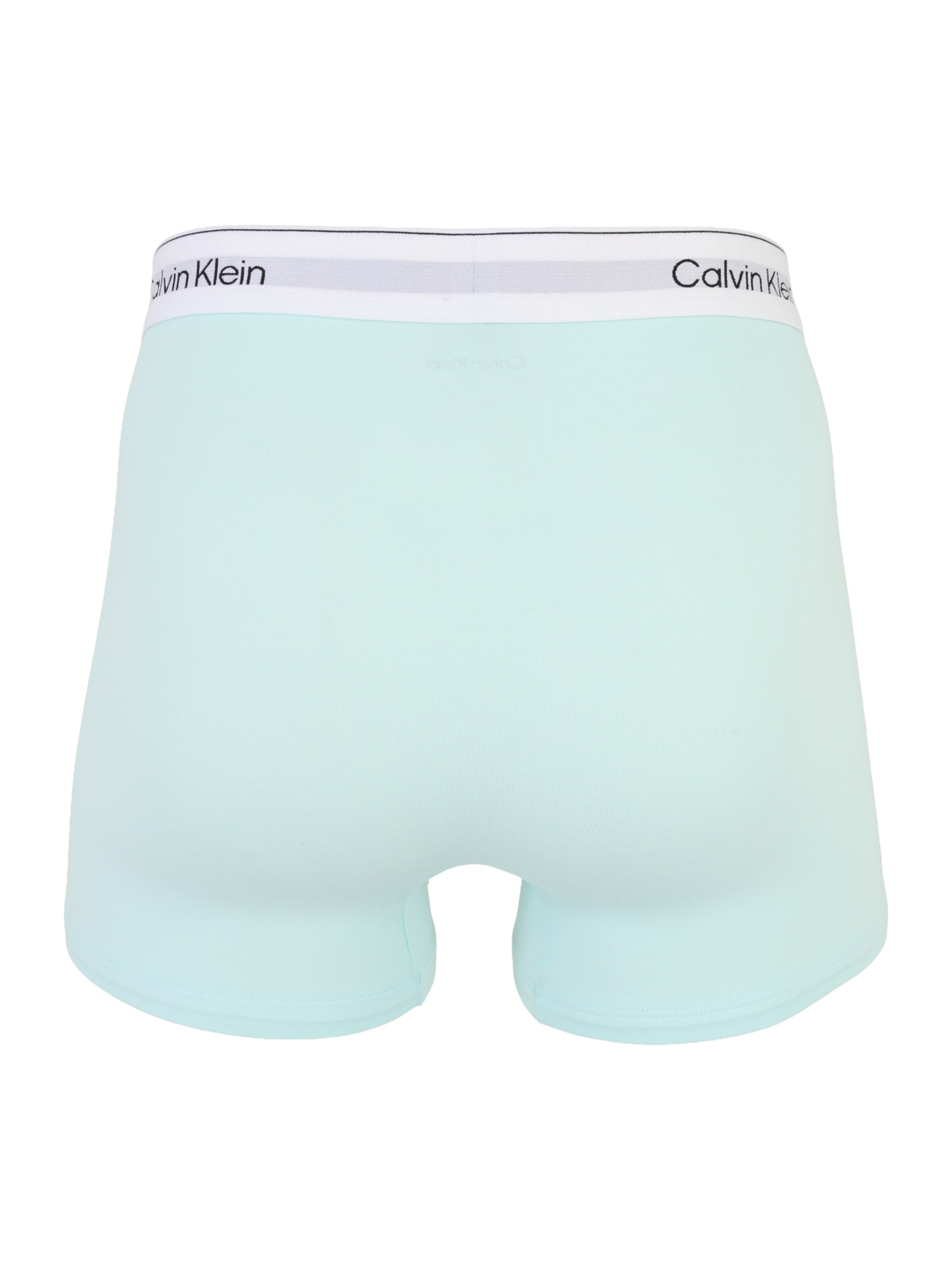 Calvin Klein Underwear Boxershorts in Blauw