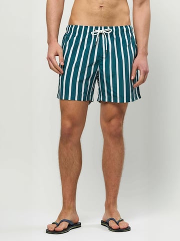 U.S. POLO ASSN. Badeshorts ' UMCharles ' i grøn: forside