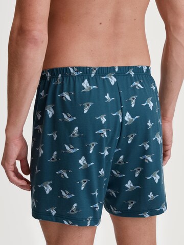 CALIDA Boxer shorts in Blue