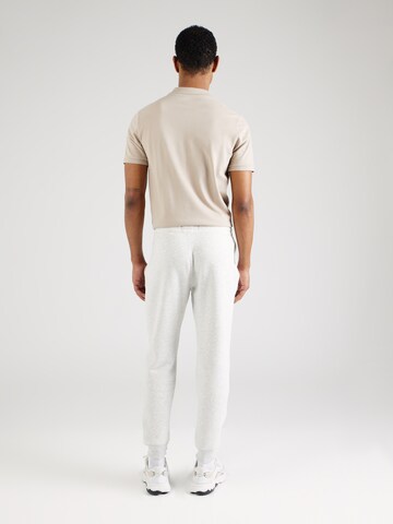 HOLLISTER Tapered Hose in Grau