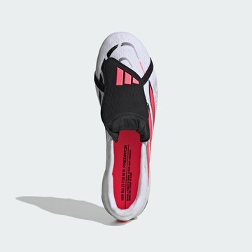 Chaussure de foot 'Predator Pro' ADIDAS PERFORMANCE en blanc