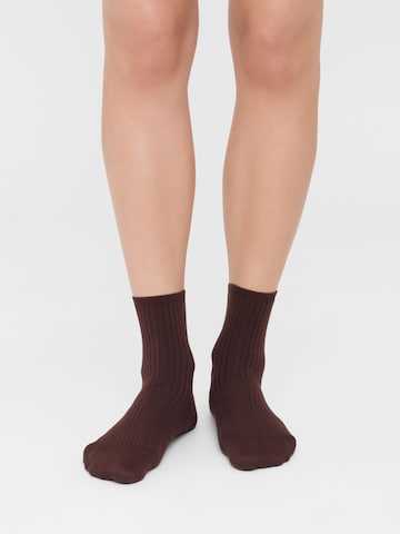 CALZEDONIA Socks in Brown