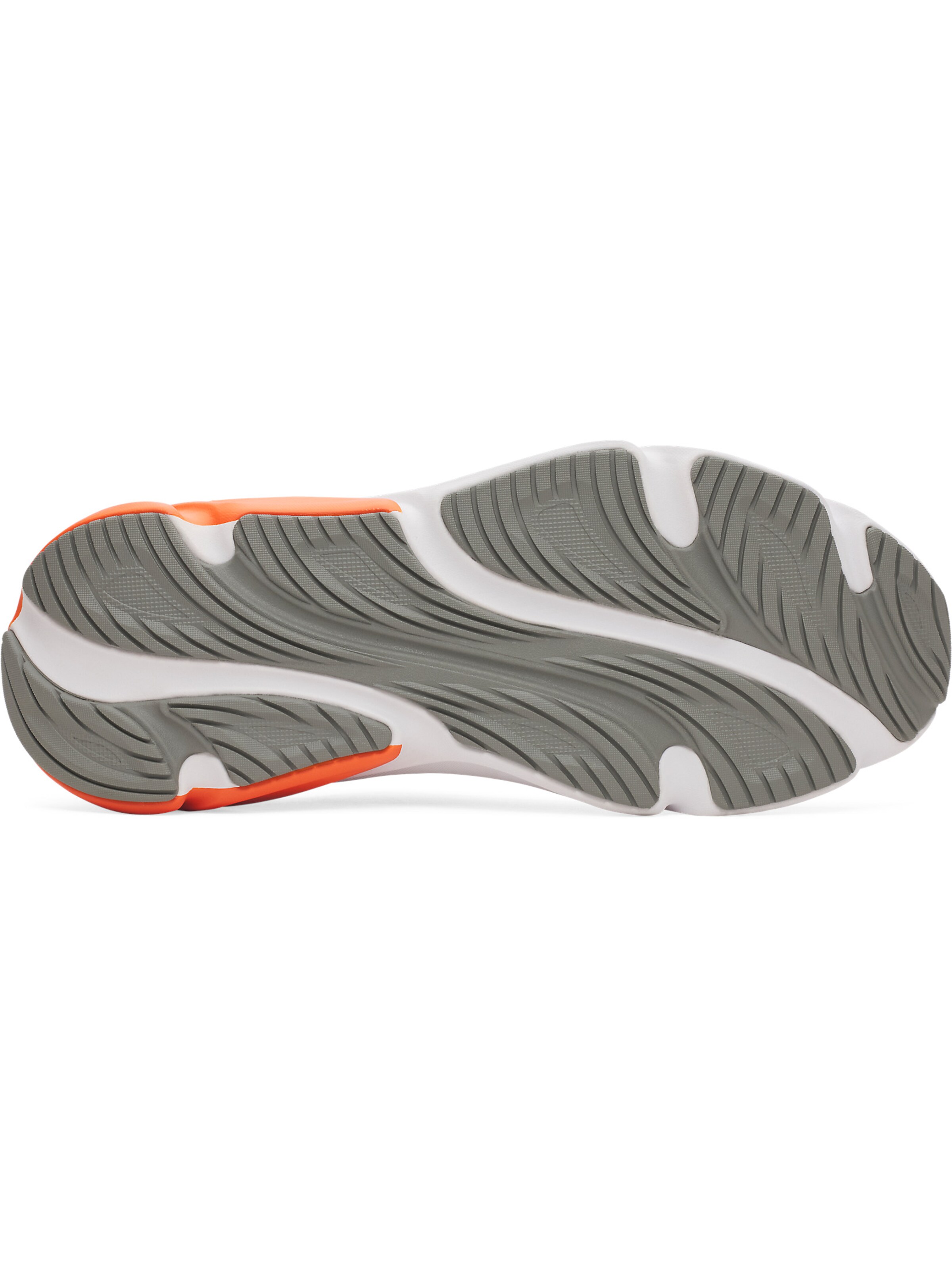 UNDER ARMOUR Sportschoen in Grijs