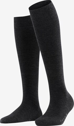 FALKE Knee High Socks 'Softmerino' in Grey: front