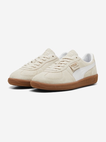 Baskets basses 'Palermo' PUMA en beige : devant