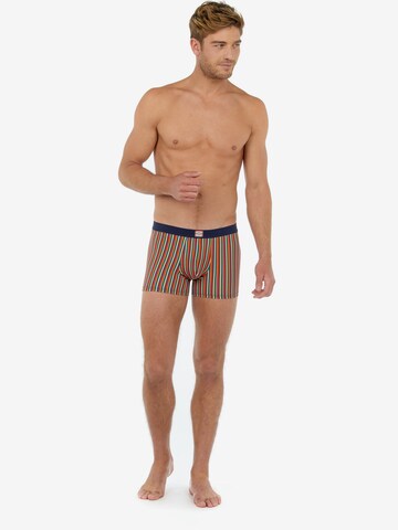 HOM Boxershorts 'Petero' in Mischfarben