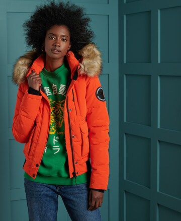 Superdry Winter Jacket 'EVEREST BOMBER' in Orange