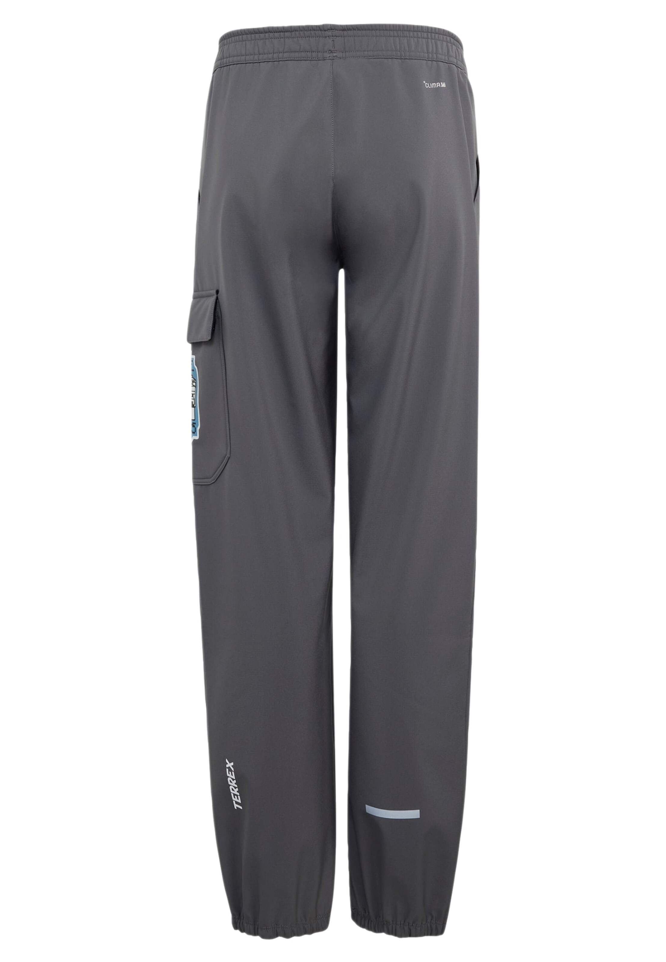 ADIDAS TERREX - Tapered Pantalón de montaña 'Minecraft' en gris
