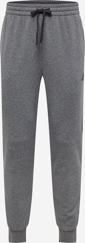 Pantaloni sportivi 'Essentials' di ADIDAS SPORTSWEAR in grigio: frontale