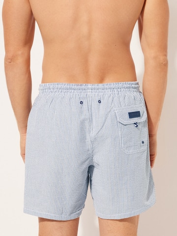 CALZEDONIA Board Shorts in Grey