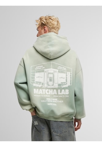 Another Cotton Lab Sweatshirt in Green