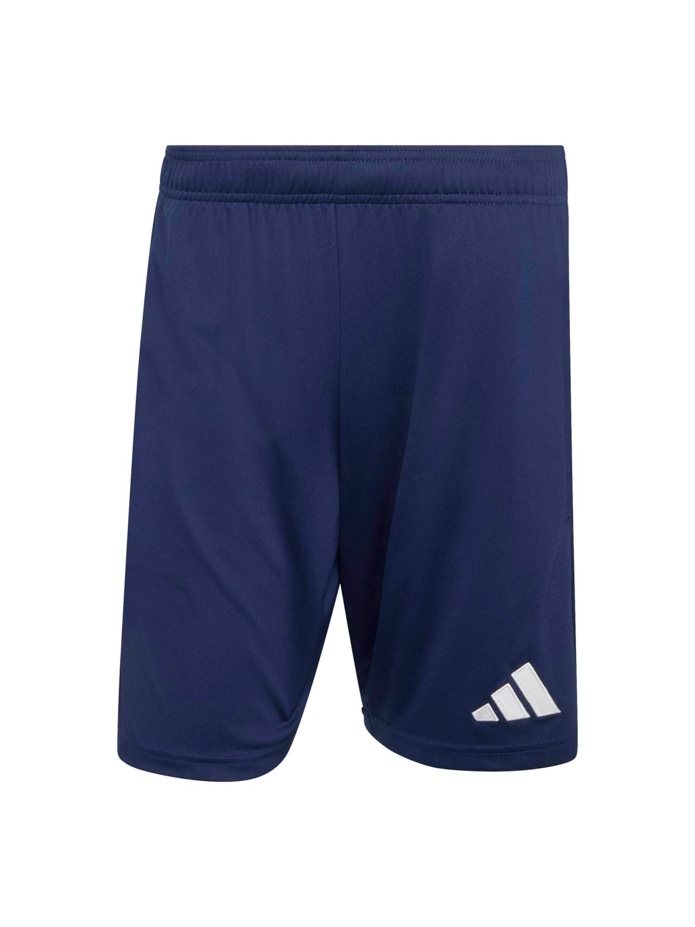 ADIDAS PERFORMANCE - regular Pantalón deportivo 'ENT26' en azul: frente