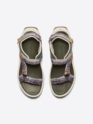 TIMBERLAND Strap sandal in Mixed colours