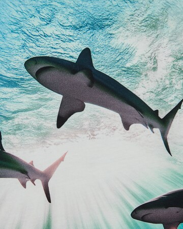 Maglietta di WE Fashion in blu