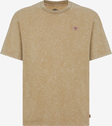 T-Shirt 'NEWINGTON' DICKIES en marron : devant
