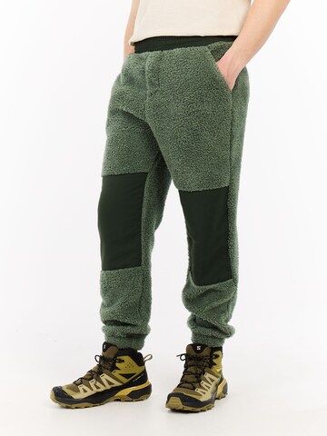 PROTEST Regular Trousers 'PRTRisk' in Green