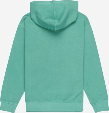 ELEMENT Sweatshirt 'CORNELL 3.0' i grøn