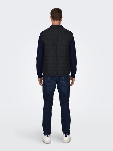 Only & Sons Bodywarmer 'ELIAS' in Blauw