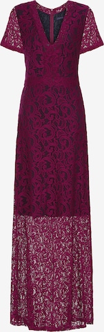 HotSquash Dress in Purple: front