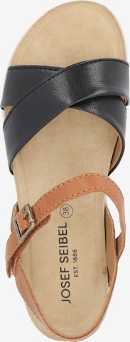 Sandales 'Celine 03 73403' JOSEF SEIBEL en marron