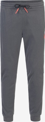 Spyder Sports trousers in Grey: front