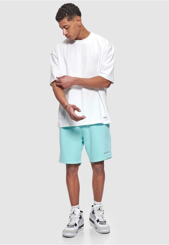 Dropsize Обычный Штаны 'Embo' в Синий