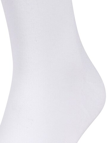 FALKE Socks 'Run' in White