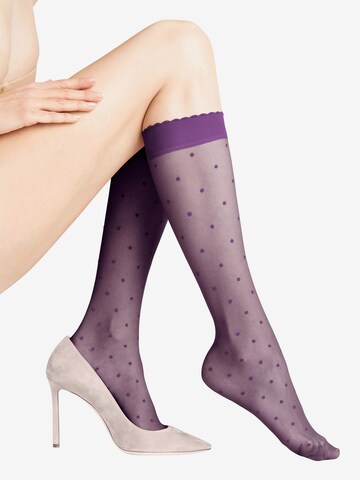 FALKE Knee High Socks in Purple: front