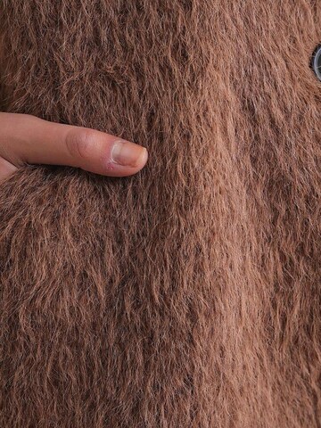 MixRay Between-Seasons Coat in Brown