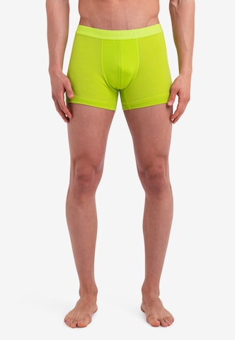 ICEBREAKER Boksershorts 'Anatomica' i gul: forside