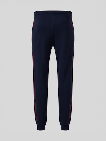FC BAYERN MÜNCHEN Regular Workout Pants in Blue: front
