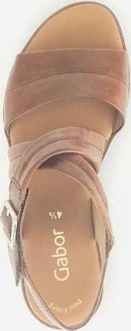Sandalo con cinturino di GABOR in marrone