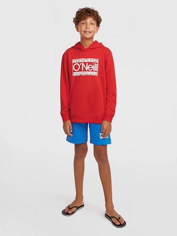 regular Pantaloni di O'NEILL in blu