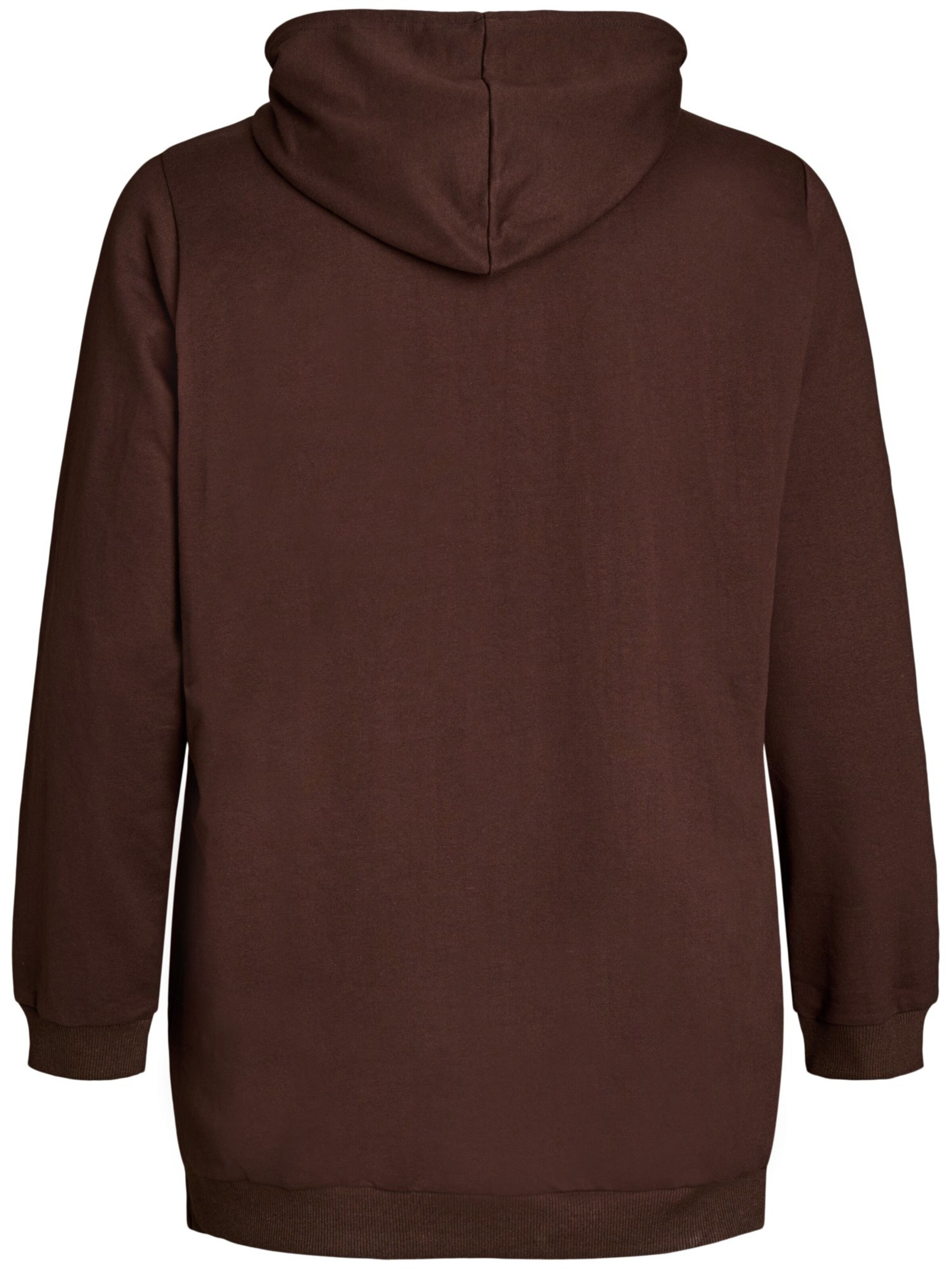 Zizzi Sweatshirt in Brown