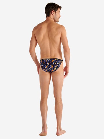 Slip ' Funky Styles ' HOM en mélange de couleurs