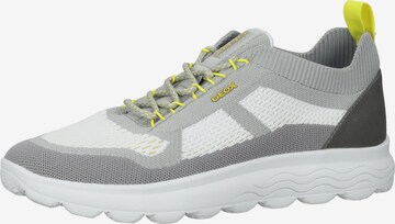 GEOX Sneakers in Grey: front