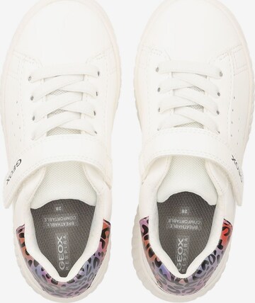 GEOX Sneakers in White