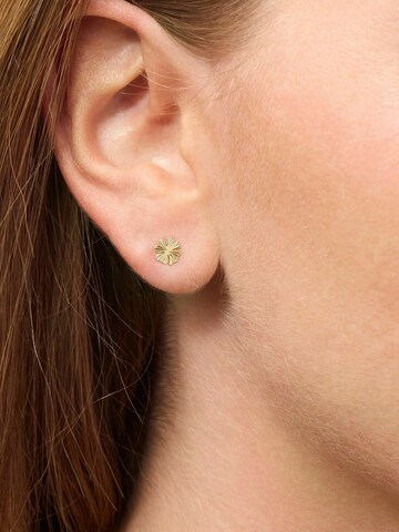 Jane Kønig Ohrring 'Clover' in Gold: Vorderseite