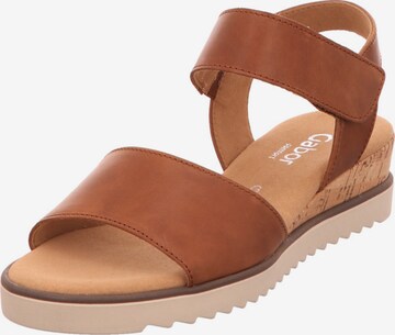 GABOR Strap Sandals in Brown: front