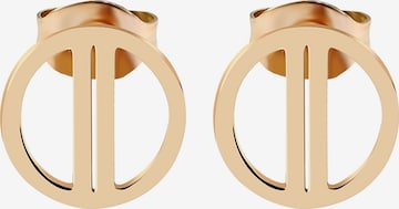 Akzent Earrings 'Martine, langlebig' in Gold: front